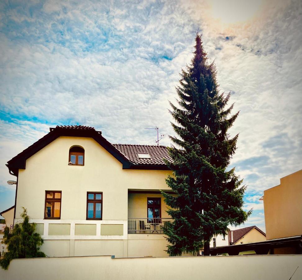 Apartman U Smrku Dvůr Králové nad Labem المظهر الخارجي الصورة